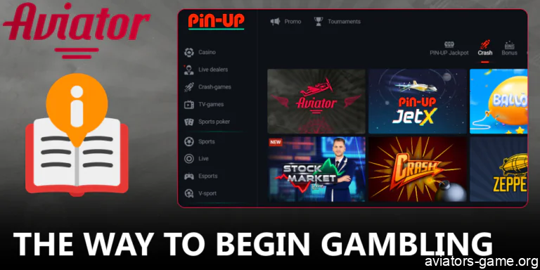 Step-by-Step Guide to Launching Aviator on Pin-Up